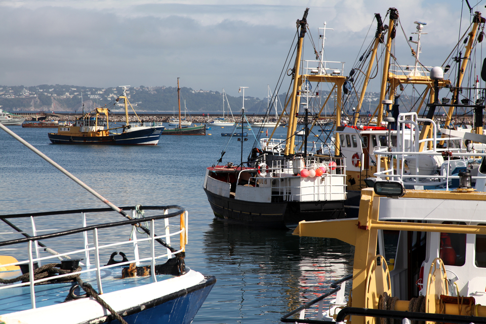 Abertura de consultas sobre quatro novos planos de gestão das pescas