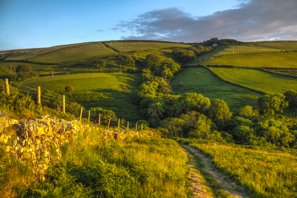 Novo plano para tornar a agricultura inglesa rentável, produtiva, sustentável e resistente