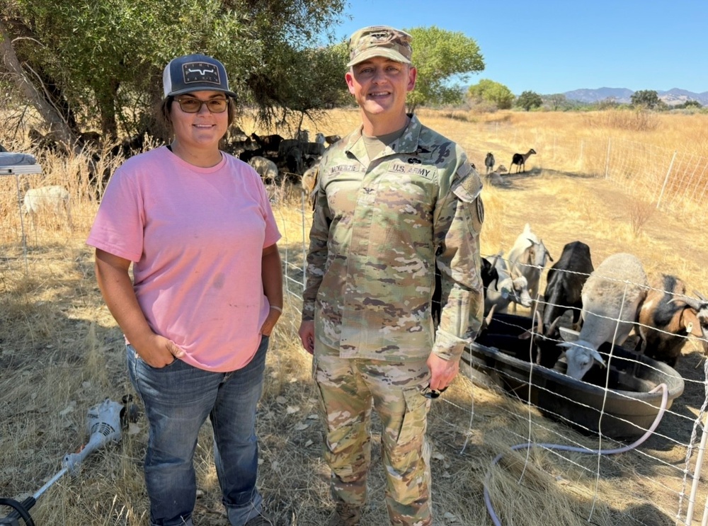 Imagem relacionada à notícia: Fort Hunter Liggett mantém terras de treinamento prontas para a missão com o Grazing Alvo