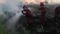 Kementerian Lingkungan Hidup Segel 57 Perusahaan Penyebab Kebakaran Hutan