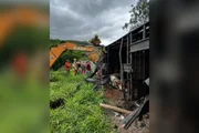 Acidente entre caminhões mata motorista e 5 bovinos na MG-285, em Piraúba