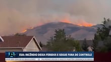 Por que até mesmo ‘florestas resilientes’ estão lutando para crescer novamente após incêndios florestais