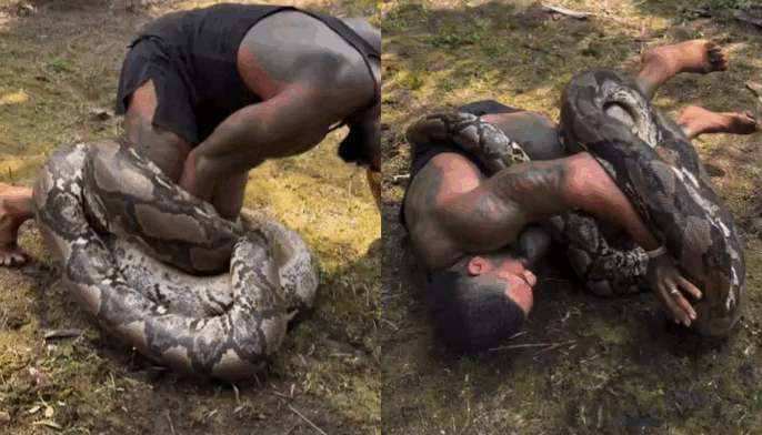 Cobra se enrolou no corpo do influenciador, prendendo seus braços e pernas Reprodução/Instagram/@therealtarzann