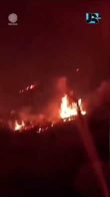 Por que até mesmo ‘florestas resilientes’ estão lutando para crescer novamente após incêndios florestais