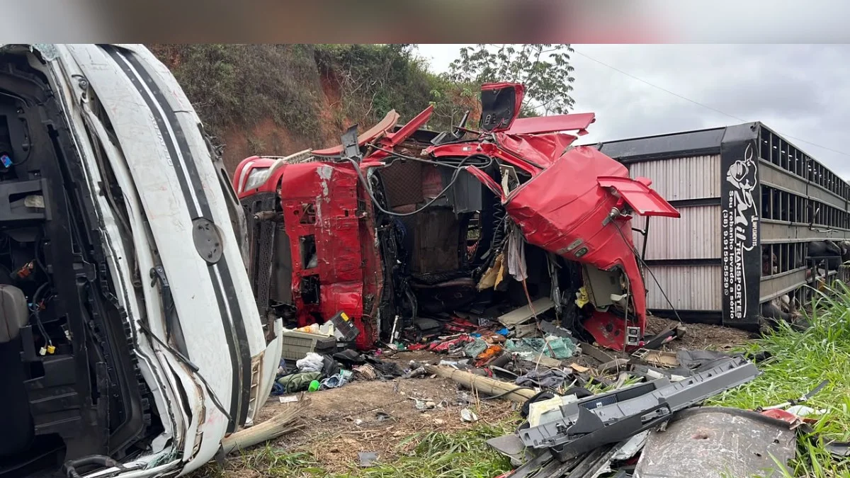Acidente entre caminhões mata motorista e 5 bovinos na MG-285, em Piraúba