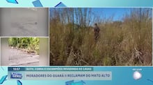 Influenciador conhecido por lutar com cobras quase perde para píton de 5,8 metros; veja vídeo