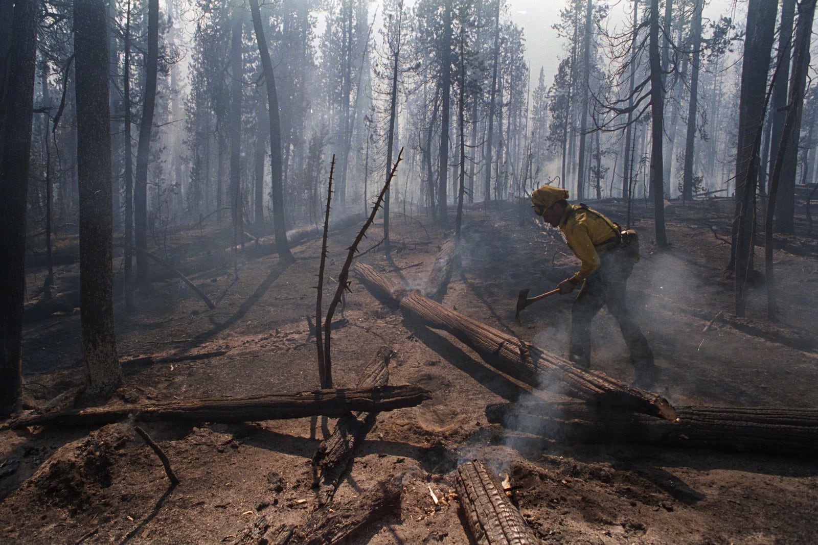Prática de queimadas prescritas demonstram eficácia na preservação de ecossistemas Bettmann Archive/Getty Images via CNN Newsource