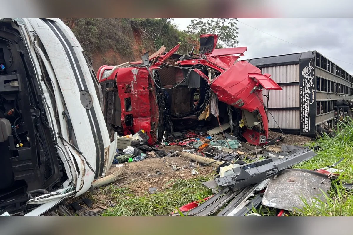 acidente caminhão MG com bois