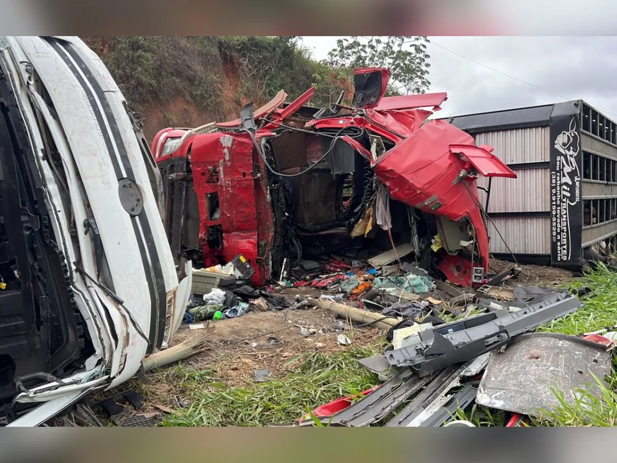 Acidente entre caminhões mata motorista e 5 bovinos na MG-285, em Piraúba