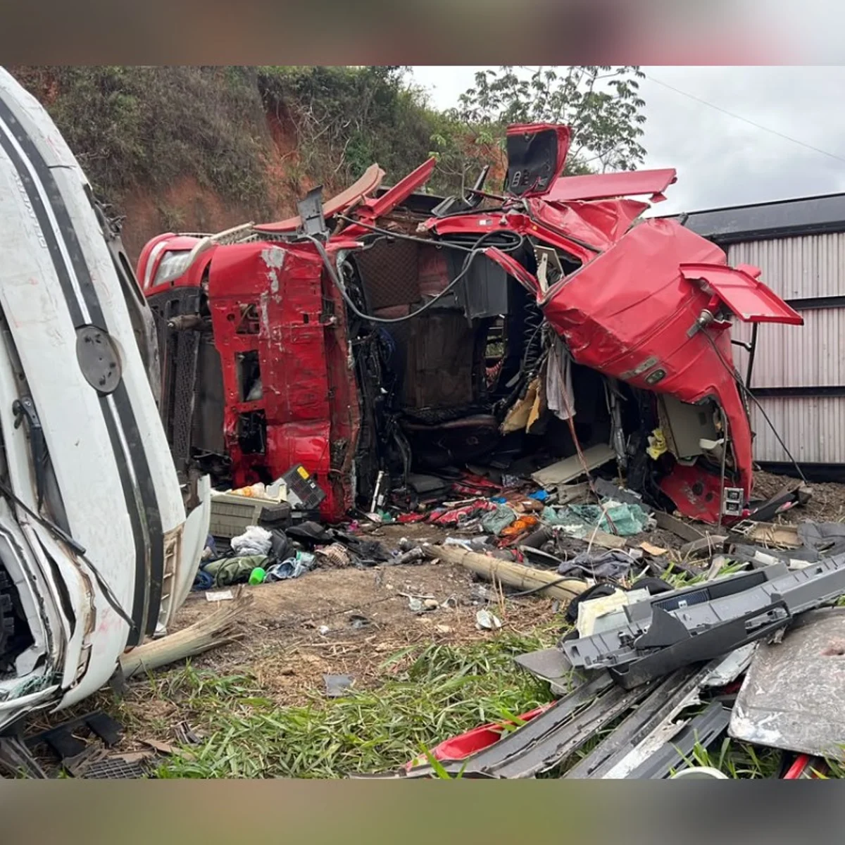 Acidente entre caminhões mata motorista e 5 bovinos na MG-285, em Piraúba