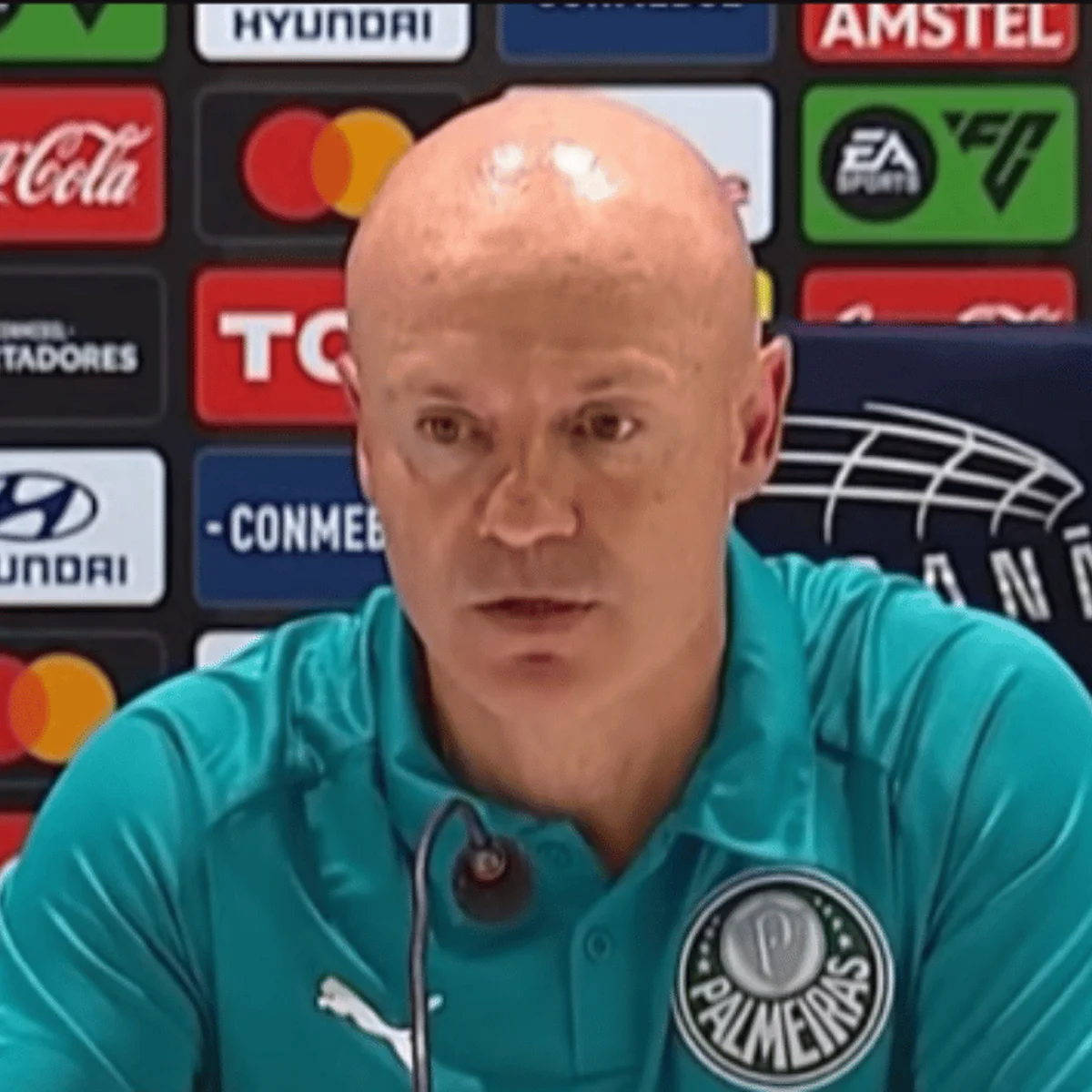 Castanheira destaca defesa do Palmeiras, mas lamenta gol sofrido no fim