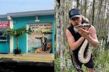 Influenciador conhecido por lutar com cobras quase perde para píton de 5,8 metros; veja vídeo